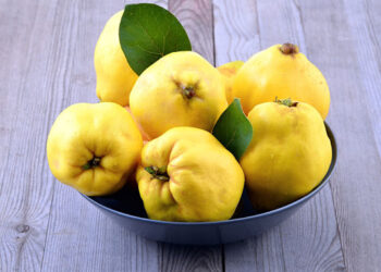 میوه بِه 🍋 در روایات