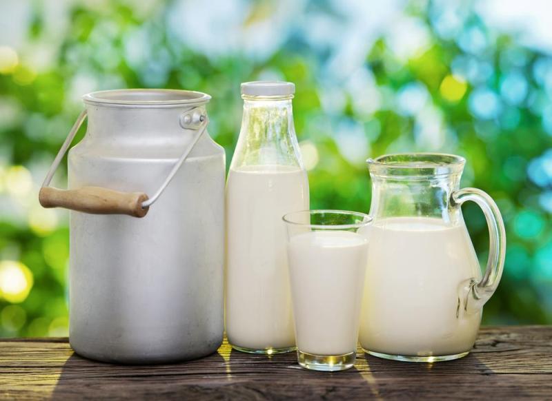 فواید شیر در طب اسلامی